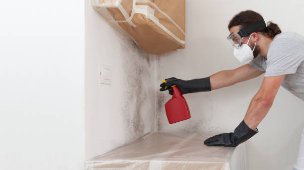 Professional Crawl Space Mold Removal technician working in Hayes, VA